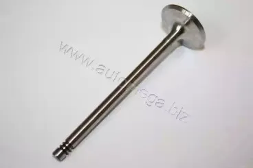 130107110 AUTOMEGA Впускной клапан