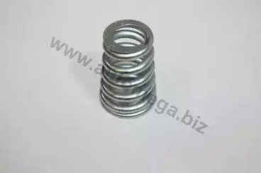 140025110 AUTOMEGA Пружина, глушитель