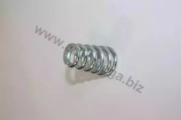 140025210 AUTOMEGA Пружина, глушитель