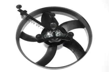 160068810 AUTOMEGA Электродвигатель, вентилятор радиатора