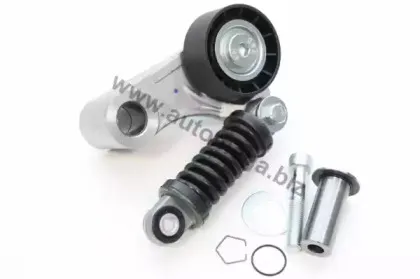 160072010 AUTOMEGA Натяжитель ремня, клиновой зубча