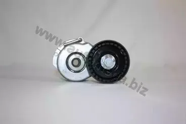 160093110 AUTOMEGA Натяжитель ремня, клиновой зубча