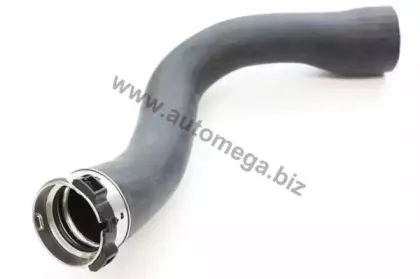 160094610 AUTOMEGA Трубка нагнетаемого воздуха