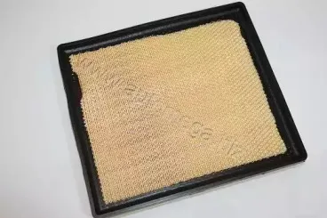 180022610 AUTOMEGA Воздушный фильтр