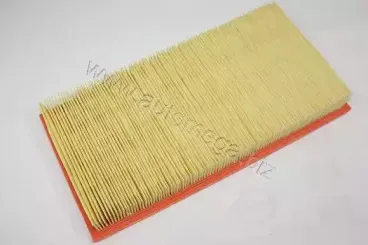 180025010 AUTOMEGA Воздушный фильтр