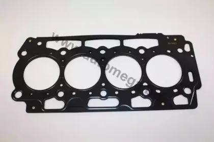 190005010 AUTOMEGA Прокладка, головка цилиндра