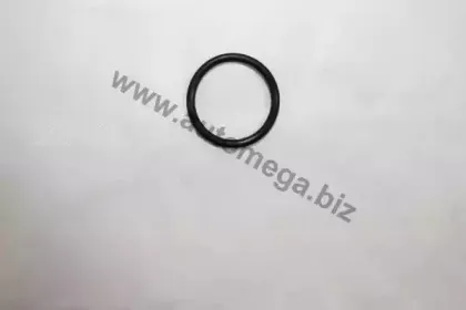 190064810 AUTOMEGA Уплотнительное кольцо, резьбовая пробка маслосливн. отверст.