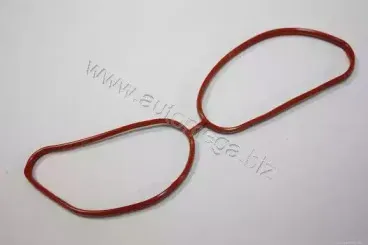 190066110 AUTOMEGA Прокладка, впускной коллектор