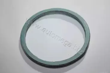 190068810 AUTOMEGA Уплотнительное кольцо, труба выхлопного газа