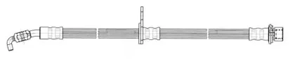 cef-511439