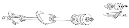 cef-ct01135