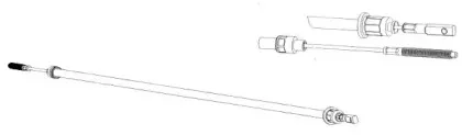 cef-ct02124