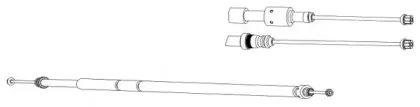 cef-ct02153