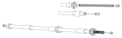 cef-ct02156