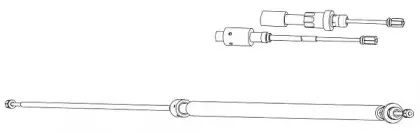 cef-ct02175