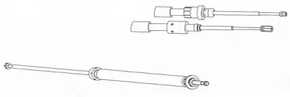 cef-ct02176