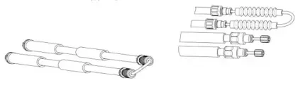 cef-ct02184