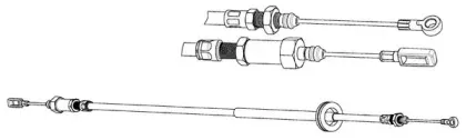 cef-ct02196