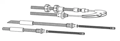 cef-fo02155