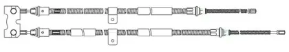 cef-fo02172