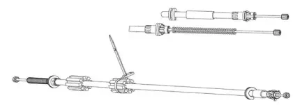cef-fo02219