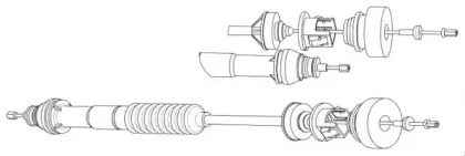 cef-pu01155