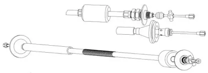 cef-rt01164