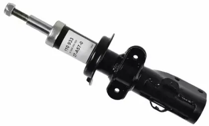 sachs-110933