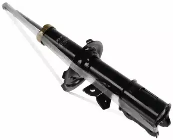 sachs-313461
