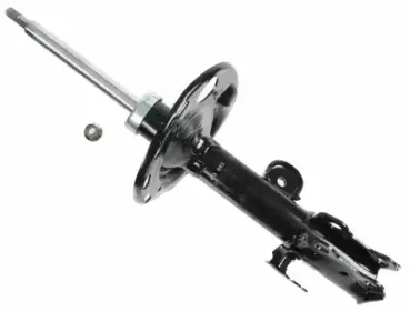 sachs-313883