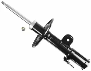 sachs-313884