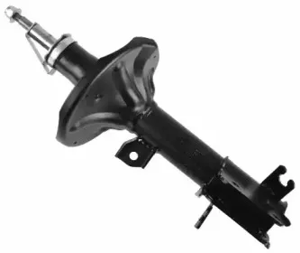 315 307 SACHS