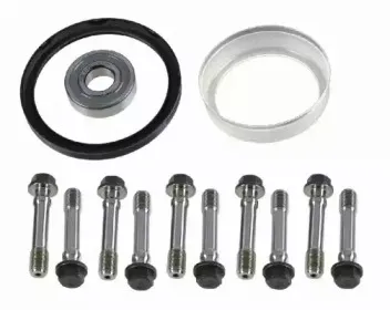 3423 601 006 SACHS ремонтный комплект, маховик