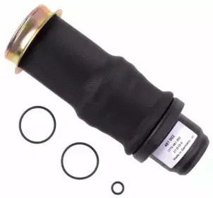 sachs-481002