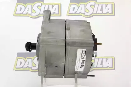dasilva-010613