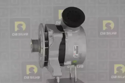 dasilva-011370