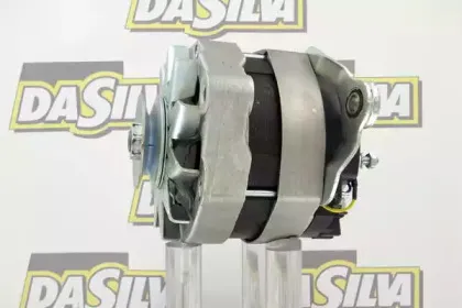 dasilva-013465