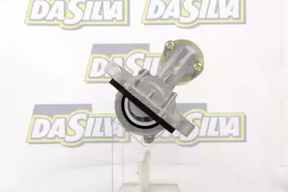 dasilva-020396