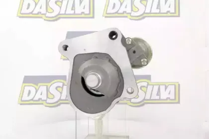 dasilva-020668