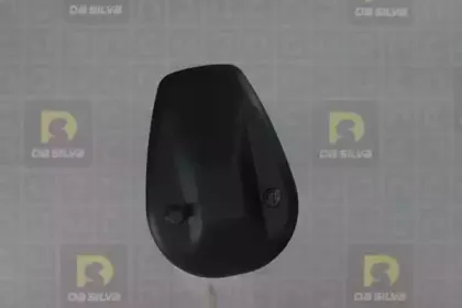 dasilva-021141