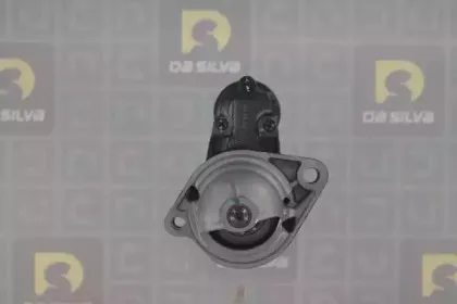 dasilva-021199