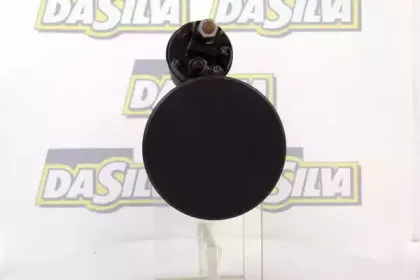 dasilva-02278