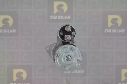 dasilva-040531