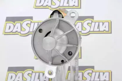 dasilva-060038