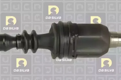 dasilva-10030at