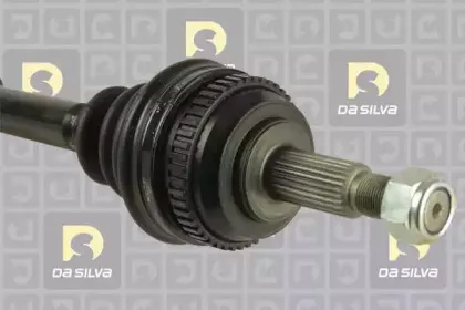 dasilva-10031at