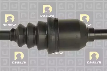 dasilva-10032at