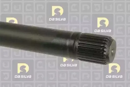 dasilva-10032at