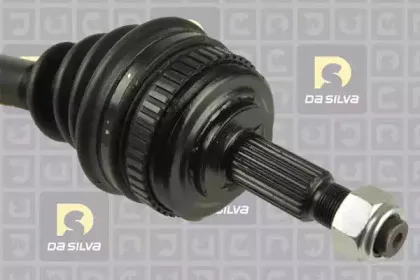 dasilva-10033at