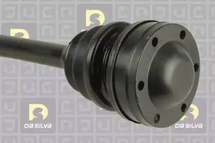 dasilva-1106t